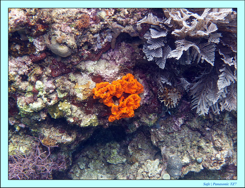 2012 - 07 - Boracay plongee - 13